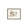 Picture of Cute Puppy _GroupedProduct_Rectangle_Landscape_Canvas_Framed_