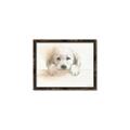 Picture of Cute Puppy _GroupedProduct_Rectangle_Landscape_Canvas_Framed_