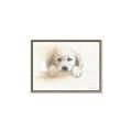 Picture of Cute Puppy _GroupedProduct_Rectangle_Landscape_Canvas_Framed_