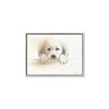 Picture of Cute Puppy _GroupedProduct_Rectangle_Landscape_Canvas_Framed_