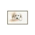 Picture of Cute Puppy _GroupedProduct_Rectangle_Landscape_Canvas_Framed_