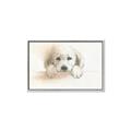 Picture of Cute Puppy _GroupedProduct_Rectangle_Landscape_Canvas_Framed_