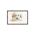 Picture of Cute Puppy _GroupedProduct_Rectangle_Landscape_Canvas_Framed_