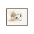 Picture of Cute Puppy _GroupedProduct_Rectangle_Landscape_Canvas_Framed_