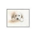 Picture of Cute Puppy _GroupedProduct_Rectangle_Landscape_Canvas_Framed_