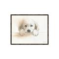 Picture of Cute Puppy _GroupedProduct_Rectangle_Landscape_Canvas_Framed_