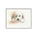 Picture of Cute Puppy _GroupedProduct_Rectangle_Landscape_Canvas_Framed_