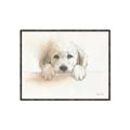 Picture of Cute Puppy _GroupedProduct_Rectangle_Landscape_Canvas_Framed_