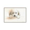 Picture of Cute Puppy _GroupedProduct_Rectangle_Landscape_Canvas_Framed_