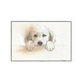 Picture of Cute Puppy _GroupedProduct_Rectangle_Landscape_Canvas_Framed_