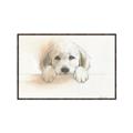 Picture of Cute Puppy _GroupedProduct_Rectangle_Landscape_Canvas_Framed_