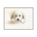Picture of Cute Puppy _GroupedProduct_Rectangle_Landscape_Canvas_Framed_