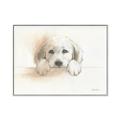 Picture of Cute Puppy _GroupedProduct_Rectangle_Landscape_Canvas_Framed_