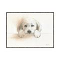 Picture of Cute Puppy _GroupedProduct_Rectangle_Landscape_Canvas_Framed_