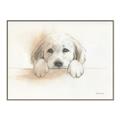 Picture of Cute Puppy _GroupedProduct_Rectangle_Landscape_Canvas_Framed_
