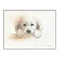 Picture of Cute Puppy _GroupedProduct_Rectangle_Landscape_Canvas_Framed_