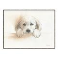 Picture of Cute Puppy _GroupedProduct_Rectangle_Landscape_Canvas_Framed_