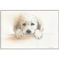 Picture of Cute Puppy _GroupedProduct_Rectangle_Landscape_Canvas_Framed_