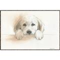 Picture of Cute Puppy _GroupedProduct_Rectangle_Landscape_Canvas_Framed_
