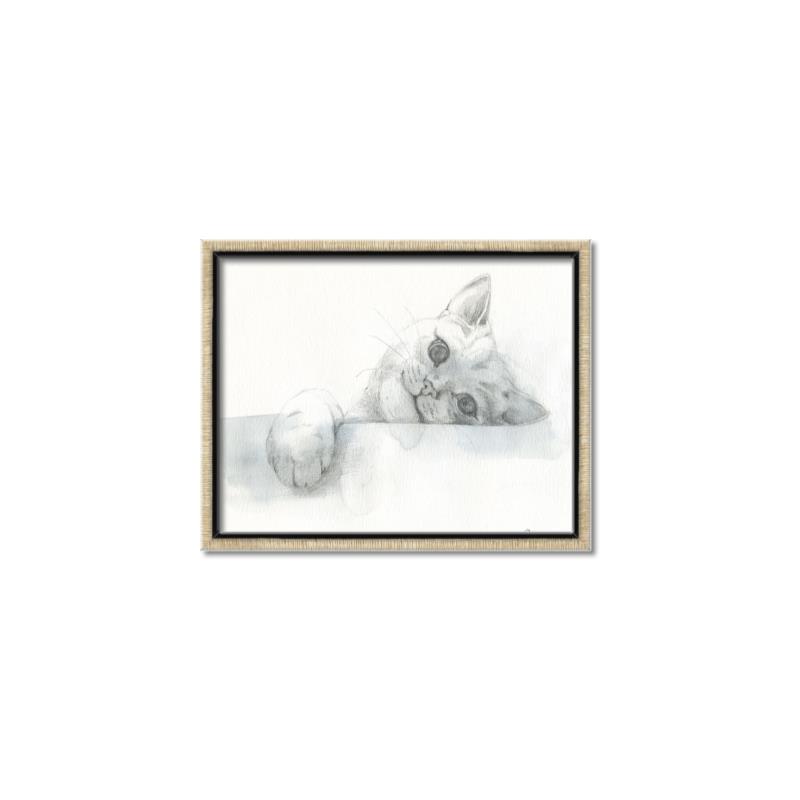 Picture of Cute cat _GroupedProduct_Rectangle_Landscape_Canvas_Framed_
