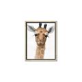 Picture of Nursery Giraffe _GroupedProduct_Rectangle_Portrait_Canvas_Framed_