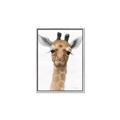 Picture of Nursery Giraffe _GroupedProduct_Rectangle_Portrait_Canvas_Framed_