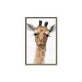 Picture of Nursery Giraffe _GroupedProduct_Rectangle_Portrait_Canvas_Framed_