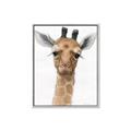 Picture of Nursery Giraffe _GroupedProduct_Rectangle_Portrait_Canvas_Framed_