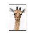 Picture of Nursery Giraffe _GroupedProduct_Rectangle_Portrait_Canvas_Framed_
