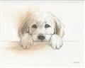 Picture of Cute Puppy _GroupedProduct_Rectangle_Landscape_Unframed_Print_Only_