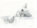 Picture of Cute cat _GroupedProduct_Rectangle_Landscape_Unframed_Print_Only_