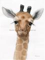 Picture of Nursery Giraffe _GroupedProduct_Rectangle_Portrait_Unframed_Print_Only_