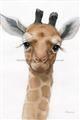 Picture of Nursery Giraffe _GroupedProduct_Rectangle_Portrait_Unframed_Print_Only_