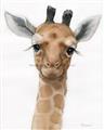 Picture of Nursery Giraffe _GroupedProduct_Rectangle_Portrait_Unframed_Print_Only_