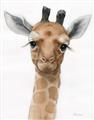Picture of Nursery Giraffe _GroupedProduct_Rectangle_Portrait_Unframed_Print_Only_