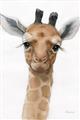 Picture of Nursery Giraffe _GroupedProduct_Rectangle_Portrait_Unframed_Print_Only_