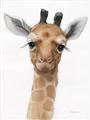 Picture of Nursery Giraffe _GroupedProduct_Rectangle_Portrait_Unframed_Print_Only_