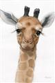 Picture of Nursery Giraffe _GroupedProduct_Rectangle_Portrait_Unframed_Print_Only_