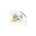 Picture of Cute Puppy _GroupedProduct_Rectangle_Landscape_Unframed_Print_Only_