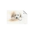 Picture of Cute Puppy _GroupedProduct_Rectangle_Landscape_Unframed_Print_Only_