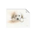 Picture of Cute Puppy _GroupedProduct_Rectangle_Landscape_Unframed_Print_Only_