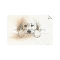 Picture of Cute Puppy _GroupedProduct_Rectangle_Landscape_Unframed_Print_Only_