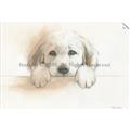 Picture of Cute Puppy _GroupedProduct_Rectangle_Landscape_Unframed_Print_Only_