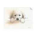Picture of Cute Puppy _GroupedProduct_Rectangle_Landscape_Unframed_Print_Only_