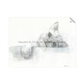 Picture of Cute cat _GroupedProduct_Rectangle_Landscape_Unframed_Print_Only_
