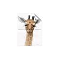 Picture of Nursery Giraffe _GroupedProduct_Rectangle_Portrait_Unframed_Print_Only_