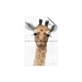 Picture of Nursery Giraffe _GroupedProduct_Rectangle_Portrait_Unframed_Print_Only_