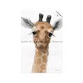 Picture of Nursery Giraffe _GroupedProduct_Rectangle_Portrait_Unframed_Print_Only_
