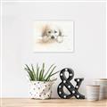 Picture of Cute Puppy _GroupedProduct_Rectangle_Landscape_Unframed_Print_Only_