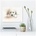 Picture of Cute Puppy _GroupedProduct_Rectangle_Landscape_Unframed_Print_Only_